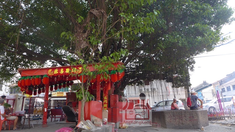 槟城广福宫观音亭Penang Kong Hock Kong Kwan Yim Teng Tree God